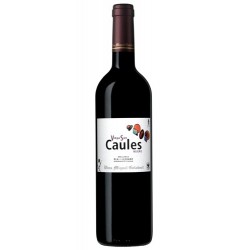 Viña Son Caules red wine 2007 - Vins Miquel Gelabert