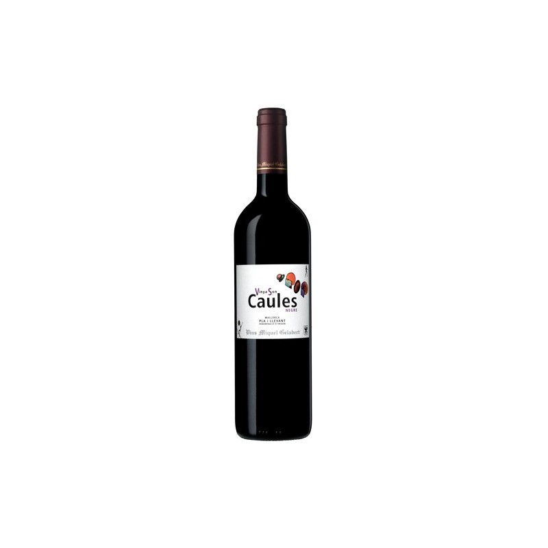Vinya Son Caules 2007 vin rouge - Vins Miquel Gelabert