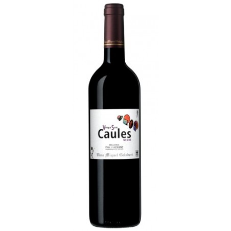 Vinya Son Caules 2007 vin rouge - Vins Miquel Gelabert