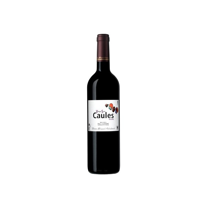 Vinya Son Caules Negre 2007 - Vins Miquel Gelabert