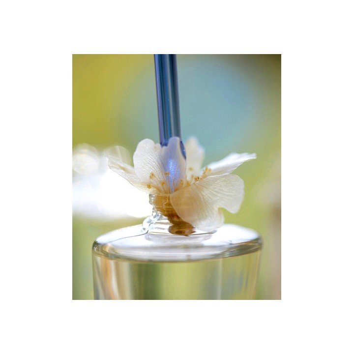 Flor d’Ametler DESIG 125 ml (Serie Limitada). Perfume