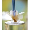 Flor d’Ametler DESIG 125 ml (Лимитированная серия) Eau de parfum