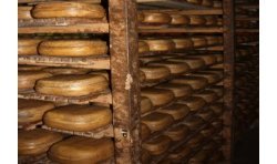Mallorcan cheese Cured - Grimalt