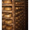 Mallorquinischen Käse Aushärtung - Grimalt