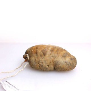 Botifarra de Mallorca, Varia, botifarra mallorquina, Camaiot